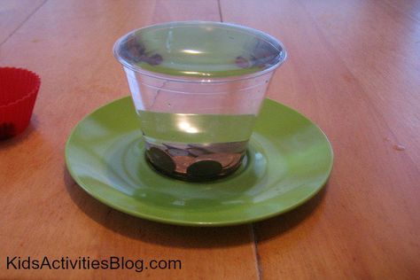 {Kid Science} Water Experiment: Displacement Kid Science Experiments, My Cup Overflows, Water Experiments, Kid Science, Simple Science, Holiday Classroom, Easy Science Experiments, Science Fair Projects, Easy Science