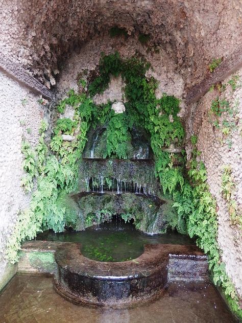 Italian Grotto, Hobbit Garden, Permanent Vacation, Mysterious Places, Yard Project, Nature Garden, Water Fountain, Dream Garden, Wikimedia Commons