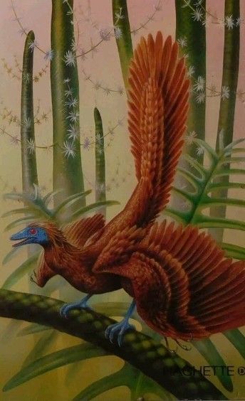 Archaeopteryx Archaeopteryx Art, Raptor Dinosaur, Volleyball Players, Classic Art, Dinosaurs, Volleyball, Retro Vintage, Animals, Art