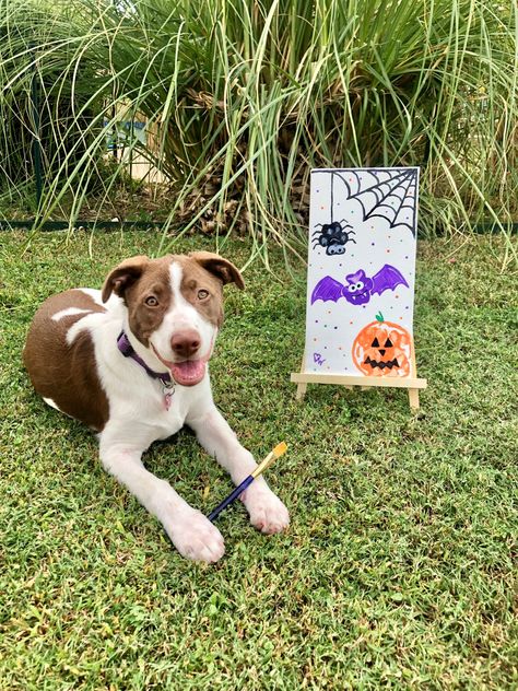 Halloween Dog Crafts, Dog Paw Print Craft Halloween, Dog Halloween Arts And Crafts, Dog Halloween Crafts, Fall Dog Crafts, Dog Paw Pumpkin Painting, Dog Paw Print Craft Fall, Dog Fall Crafts, Fall Paw Print Art