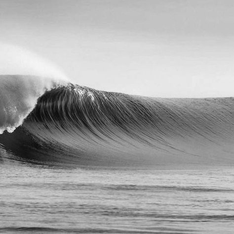 “All of us have in our veins the exact same percentage of salt in our blood that exists in the ocean, and, therefore, we have salt in our blood, in our sweat, in our tears. We are tied to the ocean.“ ❤️🌊 #thalassophile #saltysoul Salty Soul, Ocean Salt, Surf House, Losing A Dog, Summer Feeling, Black N White, In The Ocean, Blue Lagoon, White Aesthetic