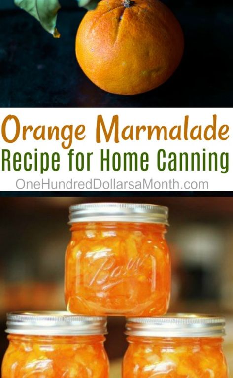 Canning 101 - Orange Marmalade Recipe - One Hundred Dollars a Month Preserving Oranges, Instapot Jam, Orange Marmalade Recipe, Instapot Meals, Marmalade Jam, Canning 101, Preserving Foods, Marmalade Recipe, Jam Recipes Homemade