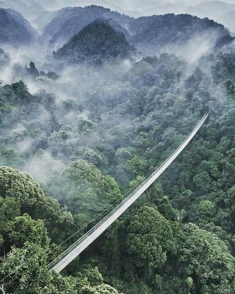 Suspension Bridge Situ Gunung, Sukabumi, West Java.  📷 Ariadi Syukur Wonderland Indonesia, Travel Writing Books, Fun Camp, Indonesia Tourism, Canada Destinations, Sukabumi, West Java, Suspension Bridge, Camping Fun