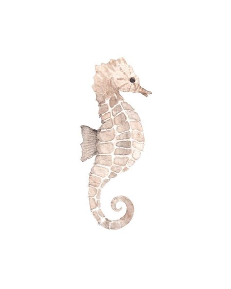 Seahorse Wallpaper Iphone, Widgets Aesthetic, Beige Things, Seahorse Tattoo, Seahorse Illustration, Widget Backgrounds, Seahorse Drawing, Pink Seahorse, Ipad Icons