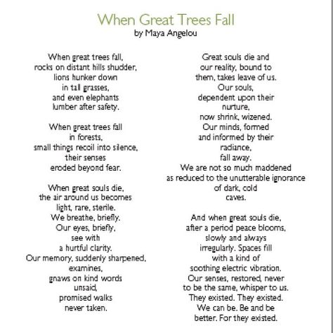 Sheila Bridges on Instagram: “My brother and I both love the words of Maya Angelou but “When Great Trees Fall” is by far one of our favorite poems. I had the intention…” When Great Trees Fall Maya Angelou, Sheila Bridges, Maya Angelou Poems, Maya Angelo, Losing A Loved One Quotes, Remembrance Poems, Favorite Poems, Maya Angelou Quotes, Wedding Poems