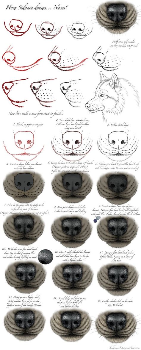 I would have called this a tutorial, only it really isn't all that accurate to real wolf anatomy-- and isn't a complete tutorial. It's just how I tend to draw them. This is kinda old xD But not ter... Nose Tutorial, Drawing Tuts, Eye Sketch, Nose Drawing, 강아지 그림, Wolf Drawing, Sketches Tutorial, Art Instructions, Wolf Art