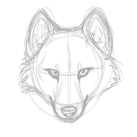 Wolf Head Drawing, Wolf Face Drawing, Skitse Bog, Lup Singuratic, Wolf Sketch, Canine Drawing, Desen Realist, 동화 삽화, Wolf Face