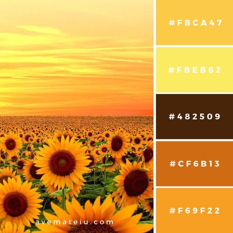 Color Palettes – Ave Mateiu September Color Palette, Colour Pallets, Pantone Colour Palettes, Colors Inspiration, Orange Color Palettes, Hex Color Palette, Sunflower Colors, Color Pallete, Color Schemes Colour Palettes