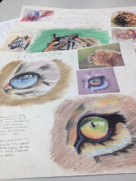 Yr 11 research on animal project. Gcse Art Sketchbook Animals, Animal Artists Gcse, Gcse Art Animals, Observational Drawing Sketchbook, Museum Sketchbook, Gcse Sketchbook, Animal Artists, Male Artworks, Gcse Art Sketchbook