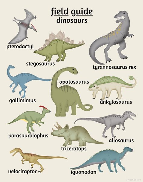 Festa Jurassic Park, Dinosaur Poster, Dinosaur Nursery Art, Dinosaur Nursery Decor, Dinosaurs Preschool, Dinosaur Tracks, Dinosaur Room, Dinosaur Posters, Kids Room Poster