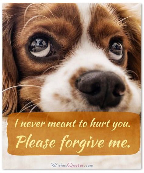 Apology quotes best friends I Am Sorry Please Forgive Me, Please Forgive Me Quotes I'm Sorry, Sincere Apology Quotes, Sorry Friend Quotes, Sorry Quotes For Friend, Sorry Message For Friend, Forgive Me Quotes, I Am Sorry Quotes, How To Love Someone