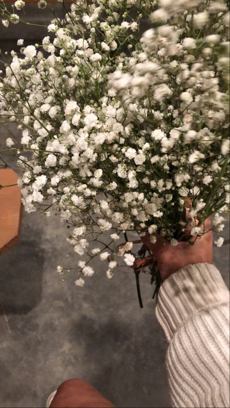 holding a bunch of white babys breath flowers Flowers Baby Breath, Angles Breath Flower, Baby’s Breath Flowers, Aesthetic Wallpaper Babybreath, Baby's Breath, Baby Breath, Babys Breath Aesthetic, Baby’s Breath Bouquet Aesthetic, Pink Baby’s Breath