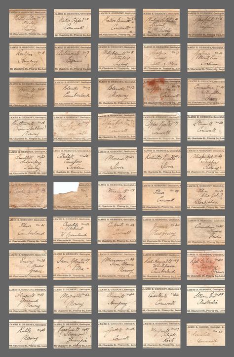 Specimen Labels, Vintage Labels Printables, Peabody Museum, Free Vintage Printables, Miniature Printables, Labels Printables Free, Graphics Fairy, Decoupage Vintage, Printable Books