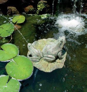 Pond Spitter, Pond Spitters, Backyard Ponds, Frog Pond, Pond Accessories, Garden Ponds, Easy Gardening, Koi Ponds, Pond Fountains