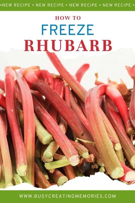 How to Freeze Rhubarb: Easily Preserve Raw Rhubarb Can You Freeze Rhubarb, How To Cook Rhubarb, Rhubarb Uses, Rhubarb Dump Cakes, Rhubarb Cookies, Freeze Rhubarb, Freezing Fruit, Rhubarb Muffins, Rhubarb Plants