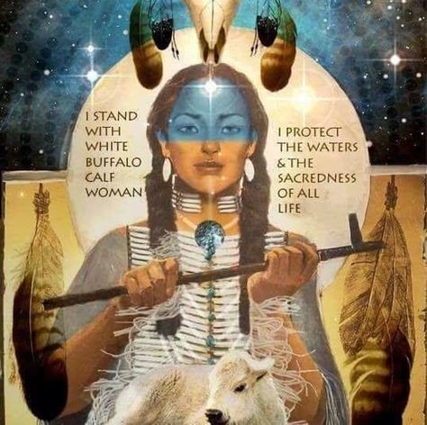 White Buffalo Woman, White Buffalo Calf Woman, Native American Knowledge, Native American Prayers, Native American Spirituality, Native American Woman, Native American Wisdom, American Indian History, Native American Quotes