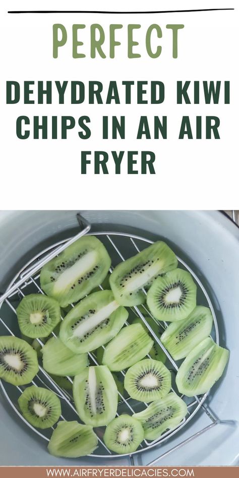 Homemade dehydrated kiwi chips, presenting a new favorite snack made easily with an air fryer." Dehydrated Kiwi, Preserve Fruit, Healthy Snack Ideas, Dried Food, Dehydrated Fruit, Yummy Dessert, Dehydrated Food, Kiwi Fruit, Air Frying