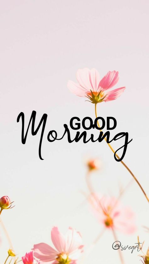 Good Morning Greeting Cards, Good Morning Breakfast, Good Morning Saturday, Good Morning Love Messages, Cute Good Morning Images, Good Morning Flowers Quotes, Good Morning Flowers Pictures, Good Morning Animation, Morning Quotes Funny