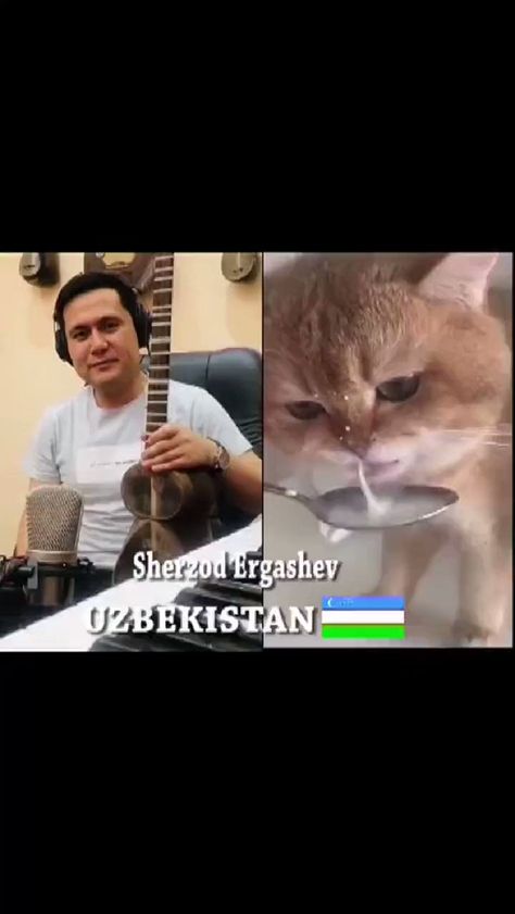 Cat Song, Broken Humor, Drinking Milk, Num Num, Cat Drinking, Singing Videos, Cool Music Videos, Funny Dude, Really Funny Joke