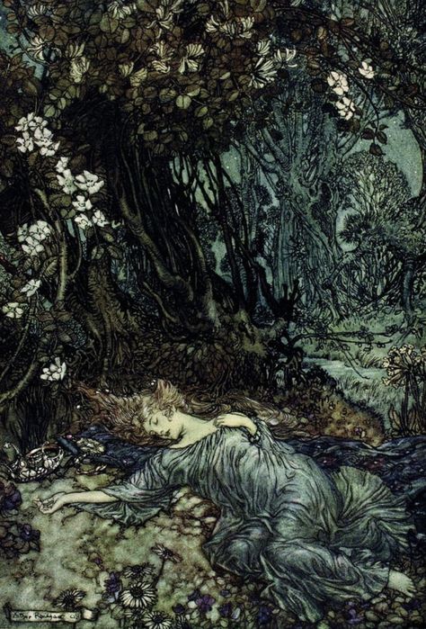 Arthur Rackham, A Midsummer Night’s Dream, 1908 Arthur Rackham Trees, Fae Wild, Rackham Illustrations, Dark Fairytale, Arthur Rackham, Jim Henson, The Grove, Gothic Art, Dark Fantasy