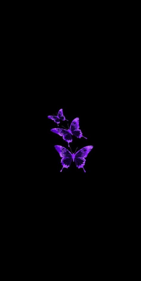 Black And Purple Background, Black And Purple Wallpaper, Purple Butterfly Wallpaper, Whats Wallpaper, Purple Aesthetic Background, Dark Purple Wallpaper, Violet Aesthetic, Butterfly Wallpaper Backgrounds, Purple Vibe