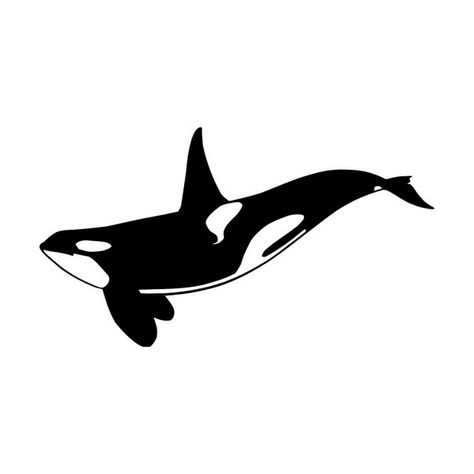 Killer Whale Drawing, Killer Whale Tattoo, Closed Terrarium Plants, Travel Tattoo Ideas, Sticker Sleeve, Orca Tattoo, Whale Drawing, Travel Tattoos, Whale Illustration