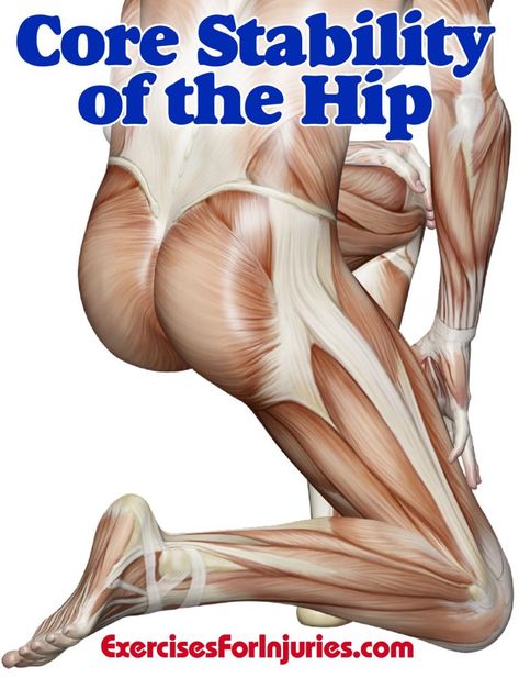 Hip Hip Stability Exercises, Core Workout Plan, Hip Injury, Hip Anatomy, Hip Strengthening Exercises, Hip Injuries, Stability Exercises, Tight Hip Flexors, Psoas Muscle