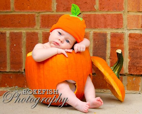 Baby picture fall pumpkin Wildflower Room, Fall Baby Pictures, 2 Month Baby, Baby Boy Newborn Pictures, Halloween Pics, Baby Boy Newborn Photography, Fall Family Portraits, Monthly Baby Pictures, Pumpkin Pictures