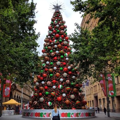 Christmas in Sydney Martin Place, Sydney Australia Summer Christmas Summer Christmas, Sydney Australia, Australia Travel, Sydney, Australia, Christmas Tree, Holiday Decor, 10 Things, Christmas