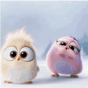 Babies Lol GIF by Angry Birds - Find & Share on GIPHY Angry Bird Pictures, Angry Birds Movie, Bird Gif, Angry Bird, Cartoon Gifs, Cute Birds, Angry Birds, Cute Disney, Cute Gif