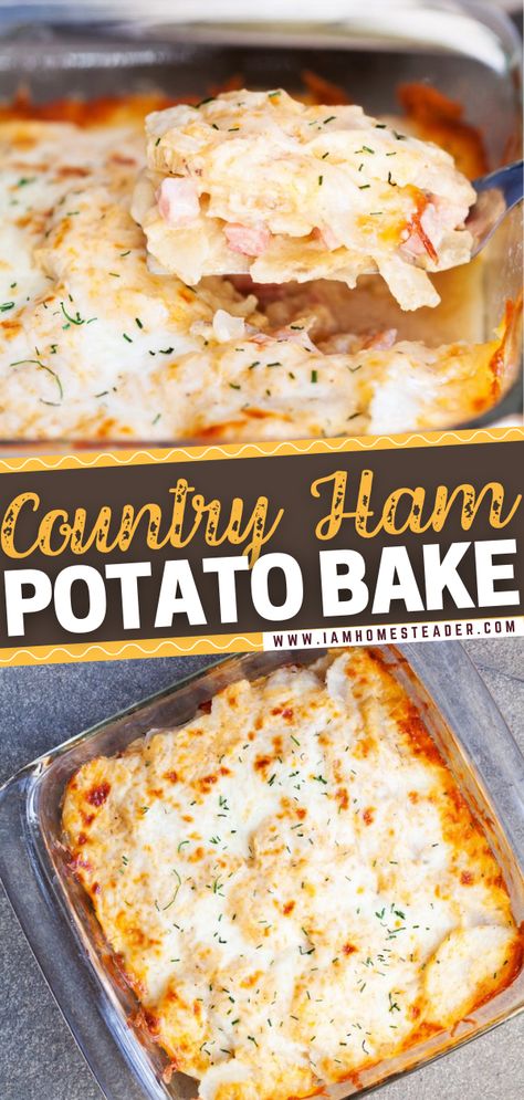 Country Ham Recipes, August Meals, Ham And Potato Recipes, Recipes With Cooked Ham, Quick Casserole, Ham Recipes Healthy, Recipes Using Ham, Ham Dinner Recipes, Ham Recipes Crockpot