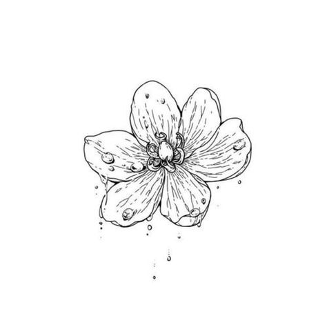 skeleton flower: jonghyun Diphylleia Grayi, Skeleton Flower, Korean Tattoos, A Flower, Flower Tattoo, Skeleton, Tattoo Ideas, Tattoos, Water