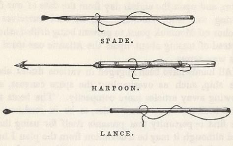 Harpoons, whaling diagram Harpoon Drawing, Harpoon Tattoo, Whaling Harpoon, Fishing Spears, Wolf 359, Count Olaf, Nautical Clipart, Heart Of The Sea, Primitive Technology