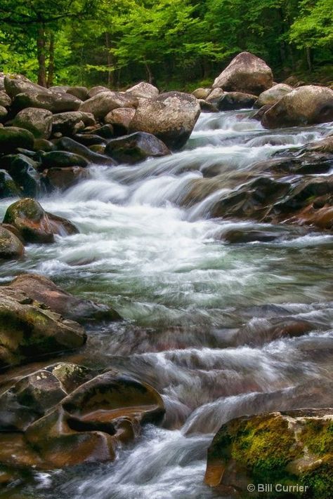 Some of the best Smoky Mountain swimming holes and waterfalls where you can cool off in the Great Smoky Mountains National Park. Chimney Tops, 50 States Travel, River Hotel, Forest Sounds, Smoky Mountains Cabins, Mountain Waterfall, Gatlinburg Cabins, Water Falls, Mountain Stream