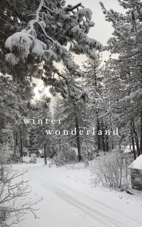 Winter aesthetic, snow aesthetic Aesthetic Winter Wonderland, Winter Aesthetic Snow, Mode Au Ski, Ski Pics, Aesthetic Snow, Snow Aesthetic, Winter Instagram, Instagram Emoji, Aesthetic Winter