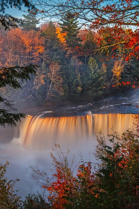 4k Iphone Wallpaper, Waterfall Forest, Forest Fall, Autumn Waterfalls, Tahquamenon Falls, Forest Falls, Waterfall Pictures, Upper Peninsula, Autumn Scenery