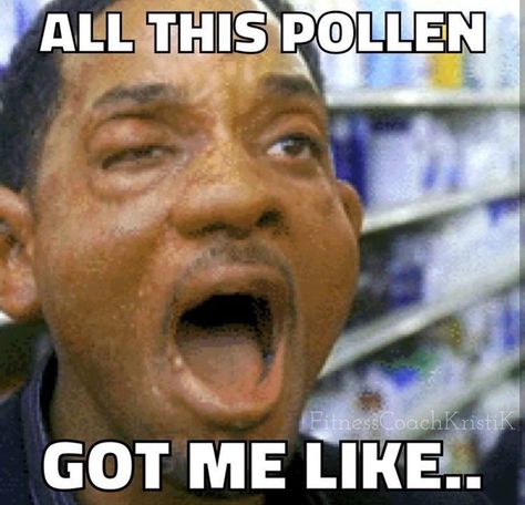 Allergies got me like.. Allergies Quote, Allergy Memes, Allergies Funny, Will Smith Meme, Hvac Humor, Pinterest Humor, Bones Funny, Will Smith, App Store