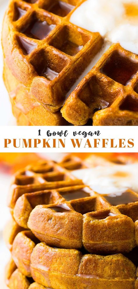 These Vegan Pumpkin Waffles are full of pumpkin spice goodness and are the perfect Fall weekend breakfast! Crispy on the outside and fluffy on the inside. 1 Bowl. Vegan Pumpkin Waffles Recipe, Vegan Gluten Free Pumpkin Waffles, Gluten Free Vegan Fall Recipes Dinner, Savory Pumpkin Recipes Vegan, Pumpkin Spice Vegan Recipes, Fall Vegan Breakfast Recipes, Wfpb Waffles, Fall Vegan Breakfast, Vegan Recipes With Pumpkin