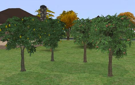 Custom Seasons Orchard Trees - Peach and Pear Orchard Tree, Sims Wallpaper, Pear Blossom, Pear Fruit, Peach Fruit, Tropical Tree, The Sims 3, Tree Saw, Peach Trees