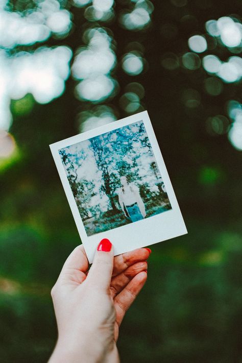 Outdoor Background, Dolphin Ring, Memory Projects, Polaroid Wall, Polaroid Photo, Album Art Design, Polaroid Photos, Photography Classes, Photos Hd