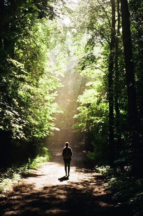 That's me walking down the path toward the light and enjoying the forest and the sounds and feeling stress free.....I can only hope Visuell Identitet, Natures Path, Matka Natura, Woods Photography, Forest Path, Shoot Film, Dirt Road, Shooting Photo, Walk In The Woods