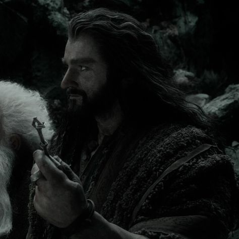 Thorin Oakenshield Icon, Thorin Oakenshield Aesthetic, The Hobbit Icons, Hobbit Aesthetic, Lonely Mountain, Hobbit Movie, Fili And Kili, Solo Pfps, The Hobbit Movies