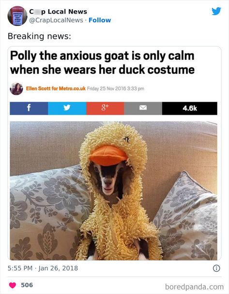 Funny News Headlines, Duck Costume, Funny Headlines, Duck Costumes, Funny News, Weird News, Friday Humor, Weird Stories, Funny Animal Memes