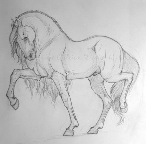 How To Sketch A Horse, Drawing Horses Sketches, Horse Art Drawing Sketches, Horses To Draw, Horse Drawings Pencil, Drawing Ideas Horse, Horse Sketch Easy, Horse Drawing Sketch, Horse Drawing Pencil