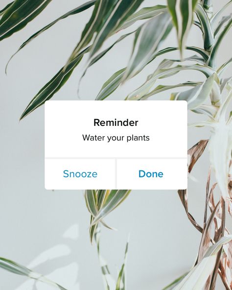 Phone Notification, Garden Section, Social Graphics, Portrait Graphic, Adobe Express, Plant Watering, Instagram Portrait, Plants Nature, Promotional Design