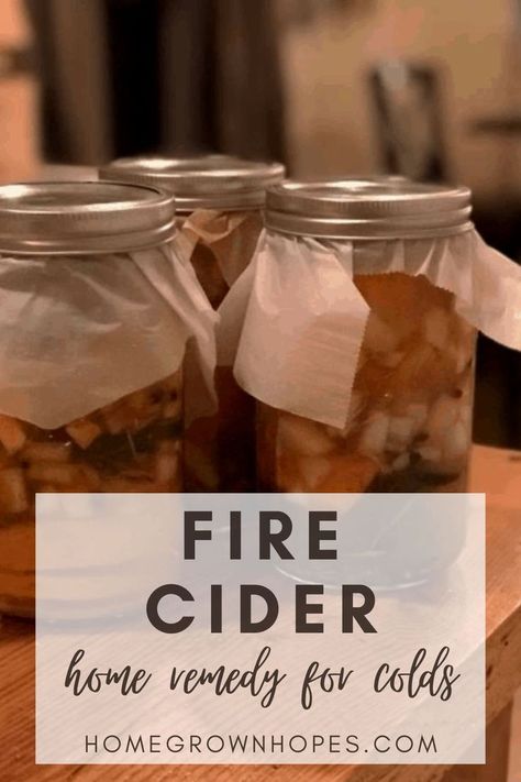 Make this quick and easy Fire Cider tonic to help boost your immune system, gut health, and more this cold and flu season! This home remedy has many uses and benefits is great to have on hand to use over the winter for immunity, you can drink it, use as a salad dressing, and more! Made with honey, vinegar, and many other health-boosting ingredients. Fire Cider Benefits, Fire Cider Tonic, Fire Cider Recipe, Ginger Bug, Fire Cider, Cider Recipe, Can Drink, Boost Your Immune System, Cold Home Remedies