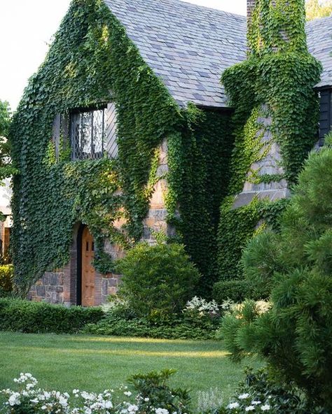 Werner Hendrickson on Instagram: "Layers of green and white complement the fieldstone façade and slate roof on this Tudor revival in Larchmont, NY. It’s so rewarding to see our ideas brought to life and cared for into maturity. . . . . #wernerhendrickson #whla #landscapearchitecture #landscapedesign #residentialdesign #landscape #garden #nature #design #newengland #gardendesign #landscapephotography #outdoorliving #fall #horticulture #plantsofinstagram #perennialgarden #englishgarden #bostonivy Larchmont Ny, Boston Ivy, Tudor Revival, English Country Style, Outdoor Decorating, Landscape Garden, Slate Roof, Stone Cottage, Dream Apartment