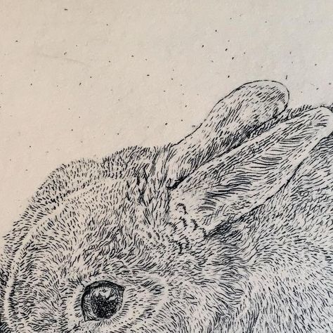 Vanessa Lubach Linocuts on Instagram: "Now available in my Etsy shop...... Further experiments in hard ground etching @printtothepeople this morning. This is the bunny from the vegetable garden @gressenhall_fw that I photographed some time ago. I’m imagining that this is the last seedling left in the veg patch and the bunny is trying to decide whether to save it for later or not. #hardgroundetching #etching #intaglio #bunnyrabbit" Tetra Pak Etching, Vanessa Lubach, Rabbit Engraving, Intaglio Landscape, Rabbit Block Print, Intaglio Etching, Class Board, Intaglio Printmaking, Hare Art