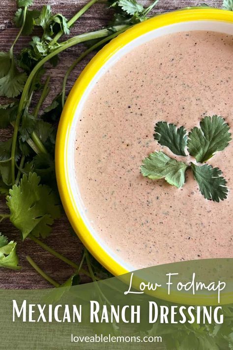 Low FODMAP Mexican Ranch Dressing Recipe Mexi Ranch Dressing, Mexi Ranch, Mexican Ranch Dressing, Taco Ranch Dressing, Mexican Salad Dressings, Mexican Ranch, Quesadilla Burgers, Taco Salad Dressing, Ranch Dipping Sauce