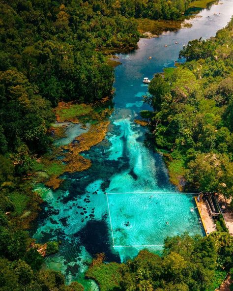 19 Best Hot Springs in Florida in 2024 ? Mapped Springs In Florida, Ocala National Forest, Rainbow Springs, Glass Bottom Boat, Florida Springs, Spring Resort, Canoe And Kayak, Scenic Beauty, Spring Nature